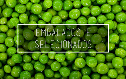 

										A)	Convencionais: selecionados por nossa equipe com mais de 40 anos de experiência. São comercializados em caixas, dúzias e grandes quantidades. Produtos vindos das Ceasas de Curitiba e São Paulo.

										B)	Higienizados: linha Mamãe Mandou (em breve)
										Os produtos são vendidos em Kg. Trabalhamos com duas linhas
										Institucional, ideal para cozinhas industriais, hospitais, hotéis, restaurantes e buffet de festas
										Pratice pronto para o consumidor final e vendido em supermercados

										C)	Frutas picadas e salada de frutas: linha Mamãe Mandou (em breve)
										Serão três linhas: Kids, Dia a Dia e Fit Premium.
										Em breve mais informações ;) 
										