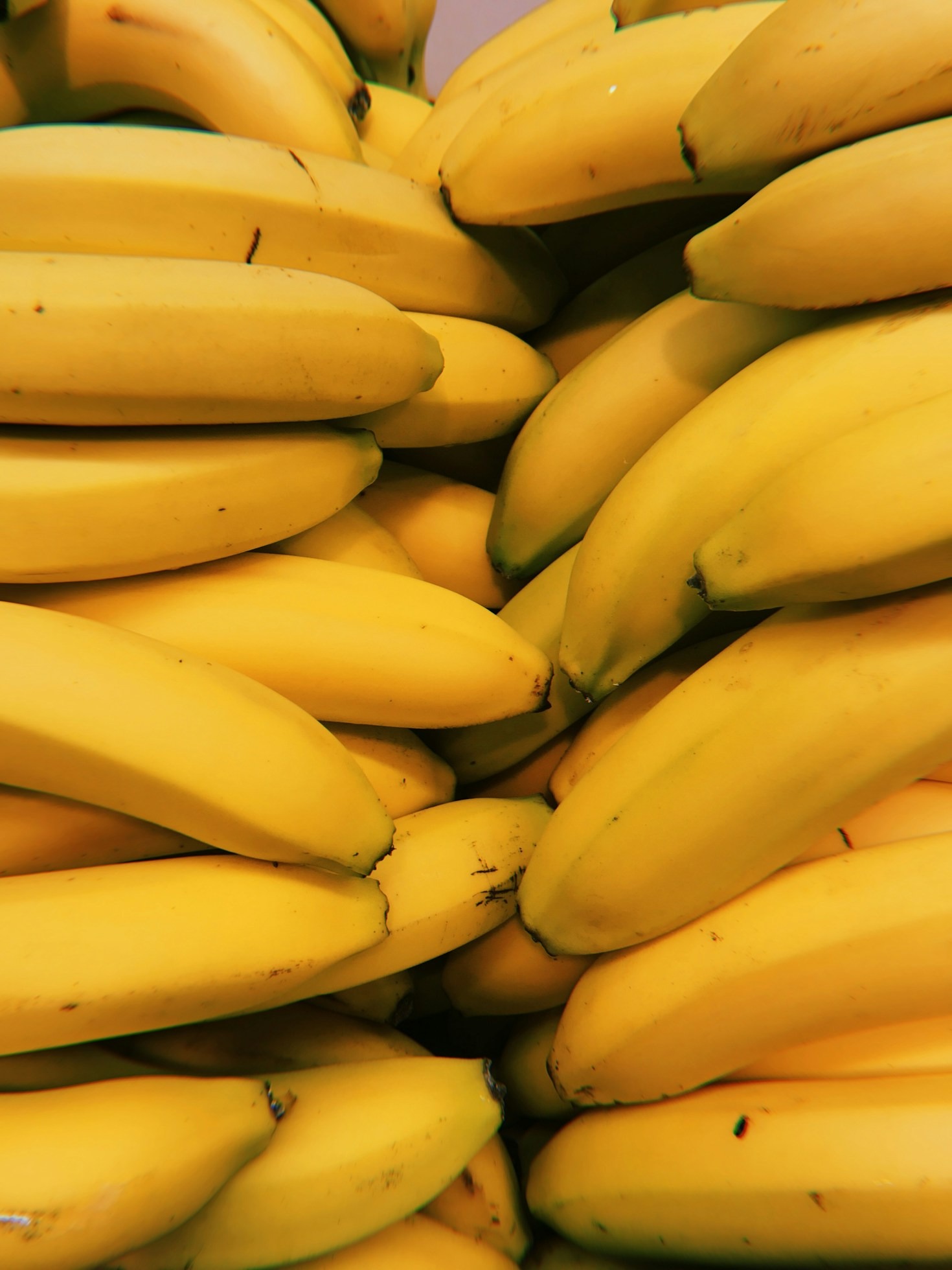 Dicas para conservar frutas frescas por mais tempo